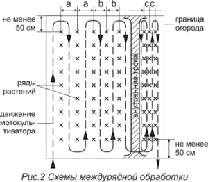 stat_sovet_po_rab_motokult-img-2